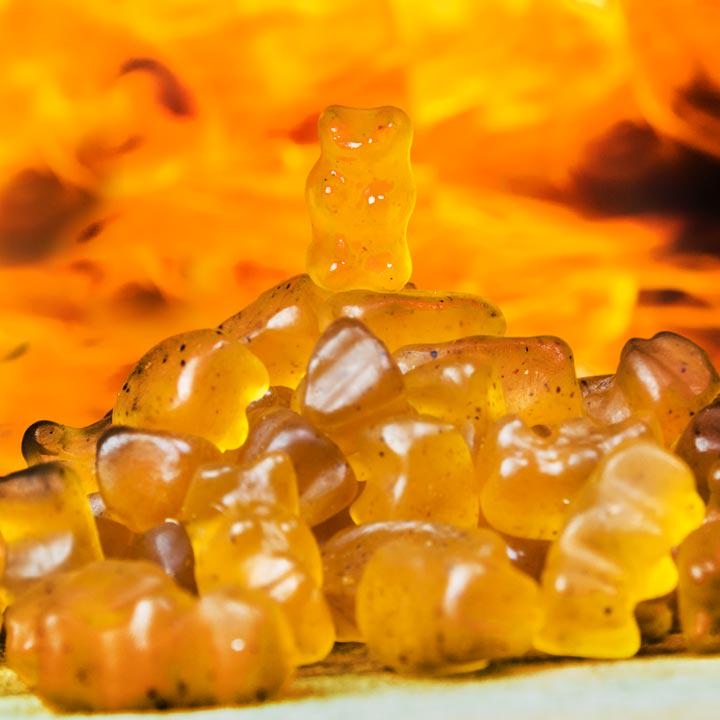 Parcelgenie's tweet photo. Spice up the life of someone you love with our 'Hot bear hugs'! Perfect for that person who loves living dangerously http://t.co/JGDTD4Jyqo