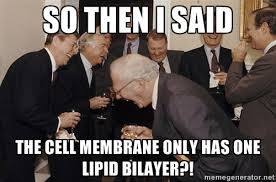 RiboRibosomes's tweet photo. @CellMembrane212 @MeekMill http://t.co/2OuZ8ahYGI