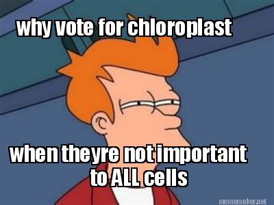 RiboRibosomes's tweet photo. @chloroplastvote @DTSMACells http://t.co/0IbqISUDGG