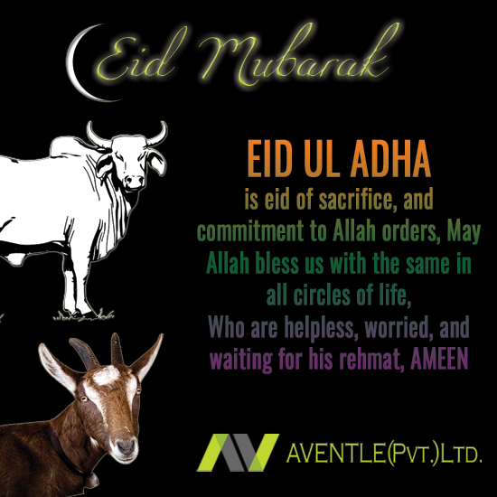 Aventle's tweet photo. Bakra Eid Mubarak to all from AVENTLE (Private) Limited. 
#eidmubarak #aventle #karachi #bakraeid2015 http://t.co/x6ve5BLjfj
