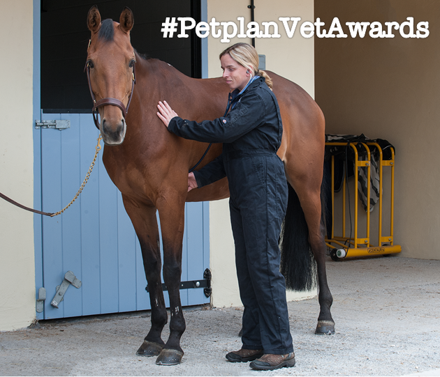 PetplanEquine's tweet photo. Say 'Thank You' to your vet by nominating them for the Veterinary Awards http://t.co/acwiripiqU #PetplanVetAwards http://t.co/aaANCxrM5D