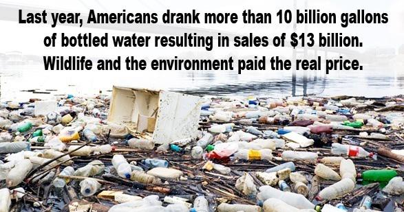 EcoWatch's tweet image. America's Deadly Love Affair With Bottled Water Has to End ecowatch.com/2015/09/24/bot… @foodandwater @storyofstuff