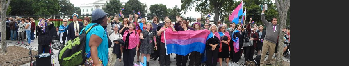 mikethebiguy's tweet photo. And now some Panorama shots OUTSIDE the White House #BiWH15 #BiWeek http://t.co/XF4EphDWhK