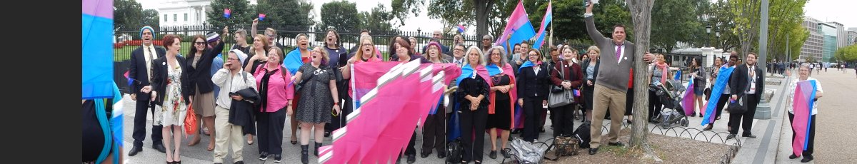 mikethebiguy's tweet photo. And now some Panorama shots OUTSIDE the White House #BiWH15 #BiWeek http://t.co/XF4EphDWhK