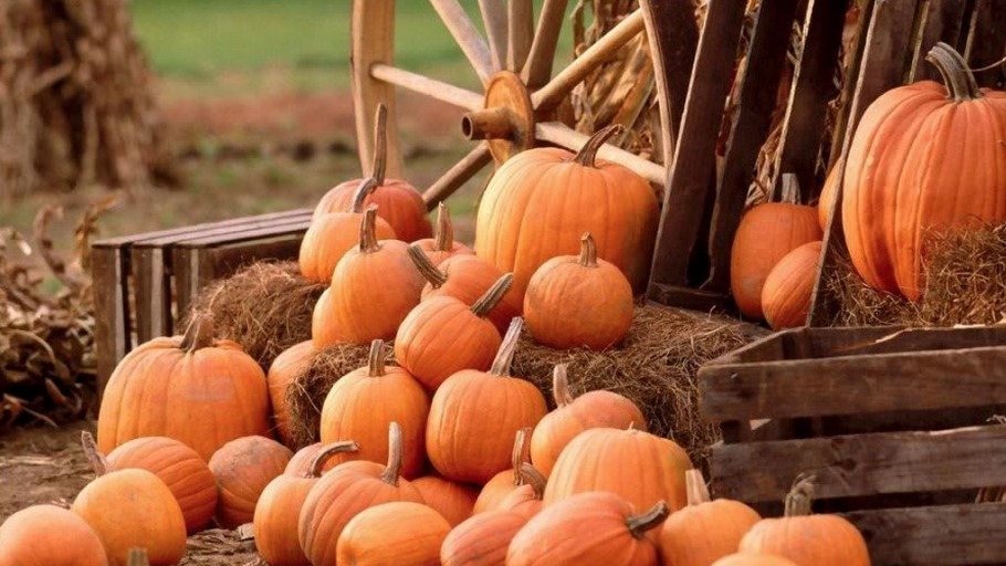 laurenduca's tweet photo. #SecondDayOfFall #ItIsStillFall http://t.co/B7HNity9nz