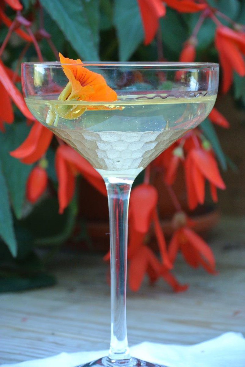 ShelburneVinyrd's tweet photo. What a lovely cocktail submission for the Duet Ice Wine @cocktailwalk contest! Want to enter? http://t.co/lcEcnzjFIz http://t.co/o6nCQm2Air