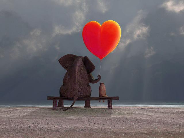 ItemGrabber tweet media