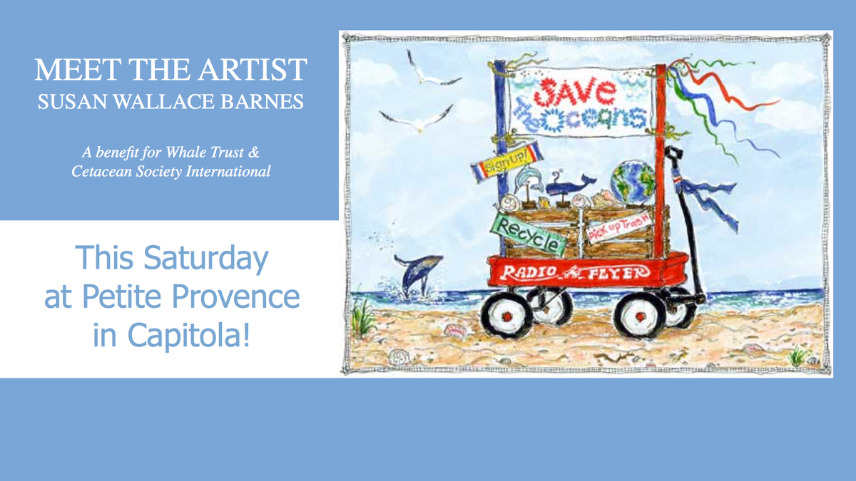 Susan Wallace Barnes Swallacebarnes Twitter
