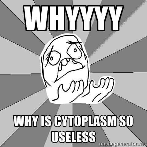 OrganelleNCheif's tweet photo. Why must you do this @CytoplasmJones @DTSMACells http://t.co/3D0rSswfEx