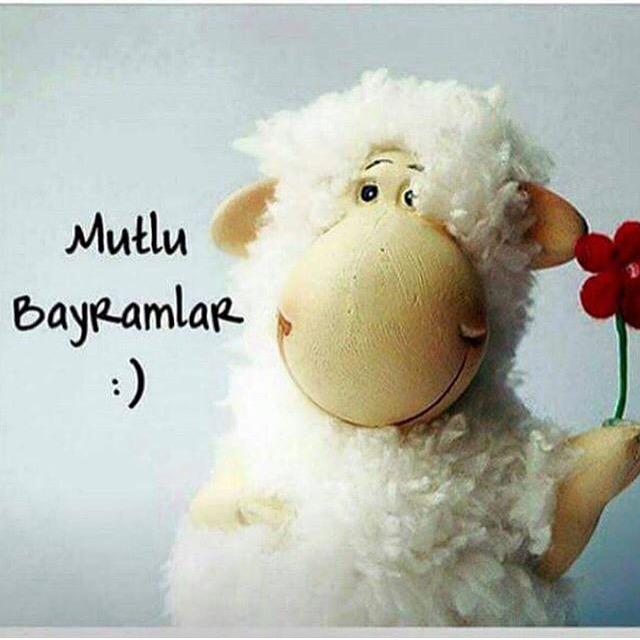 yasminn (@yasemintutarel) on Twitter photo 