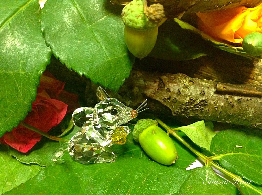 Discover the <a href="/swarovski/">swarovski</a> crystal collection... 🐰🐭 there's something for everyone !