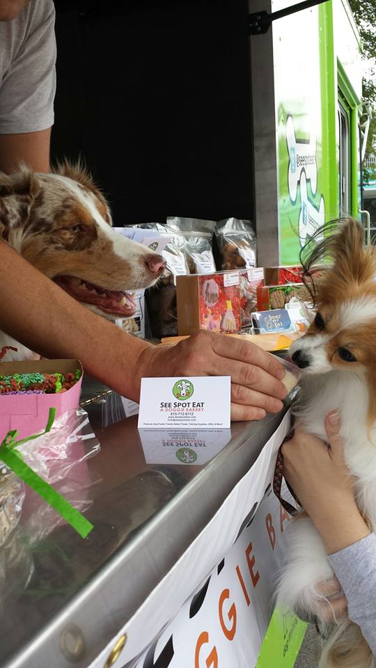 Join us 11:30(ish)-2pm(ish) TODAY in front of <a href="/TheWildCowVeg/">The Wild Cow</a> with your pups! You may be on tv! Filming a PBS show!
