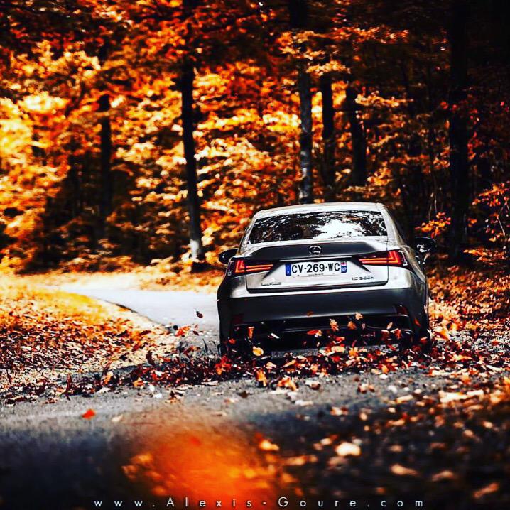LexusEast's tweet photo. @LexusOfRoute10 has the right idea, fall is here! #ItsFallYall #LexusEastern #Lexus #Fall http://t.co/bYUTHR64ne