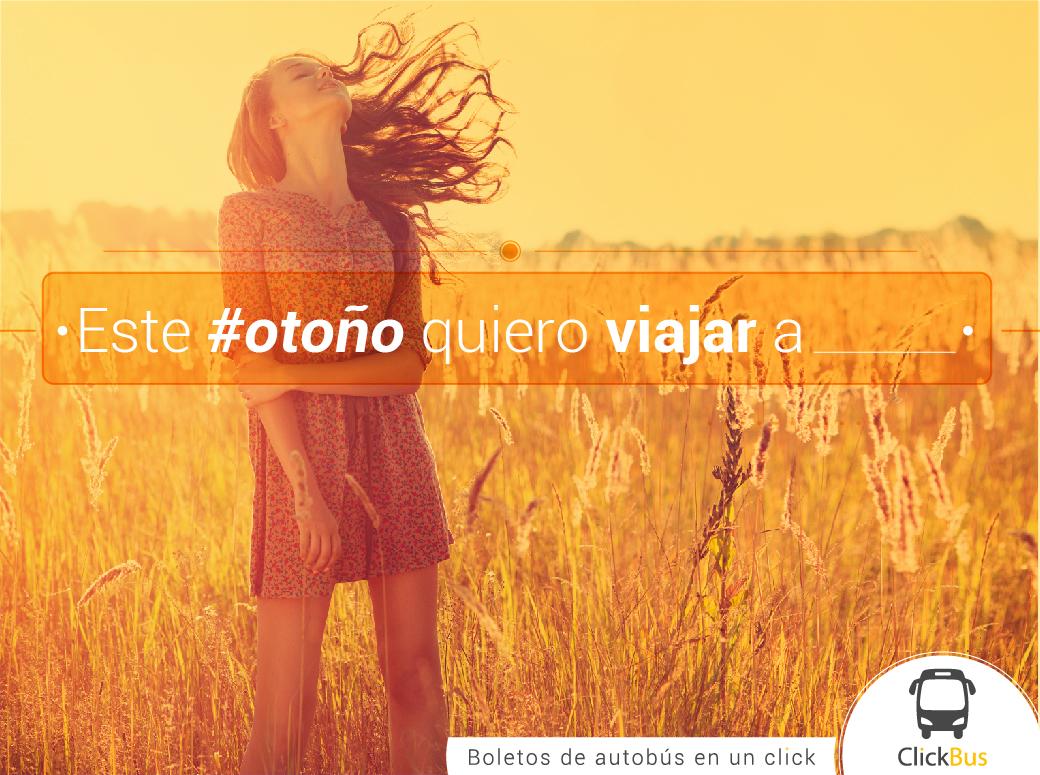 Click_Bus's tweet photo. #SigoSorprendiendomeCuando llega el otoño. Este #otoño quiero viajar a ________ 🚌 #ClickBusMeLleva http://t.co/qrNGLvnxo7