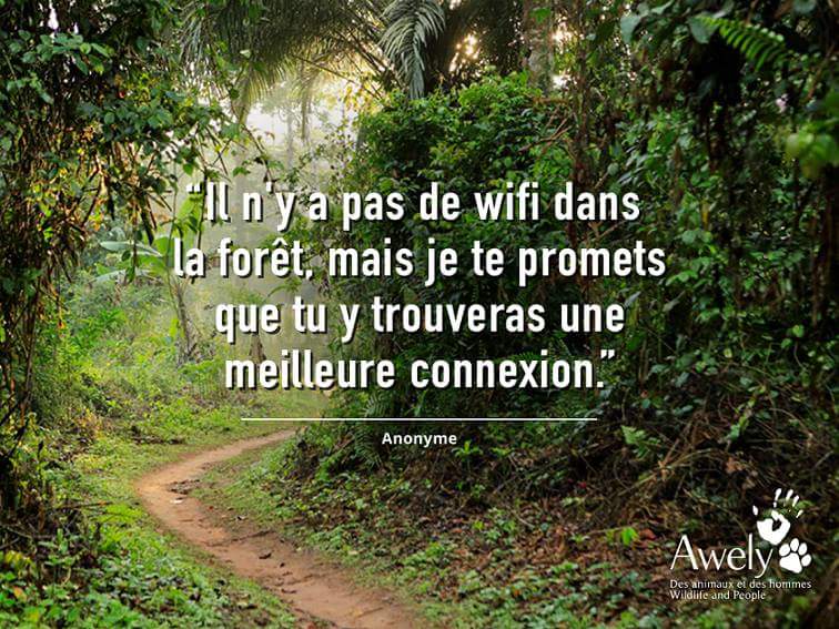 Awely on Twitter &quot;Citation Environnement Forêt 