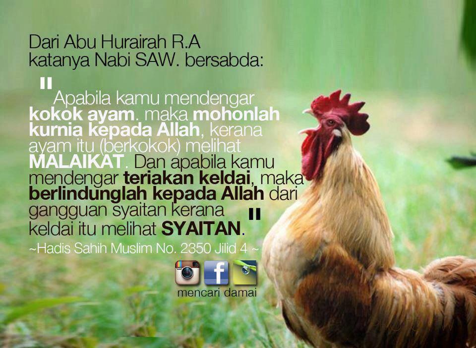 Image from fitrahislami.files.wordpress.com/2013/06/doa-ma….