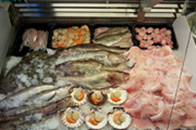 Fishmongers  -> Fish Wholesalers