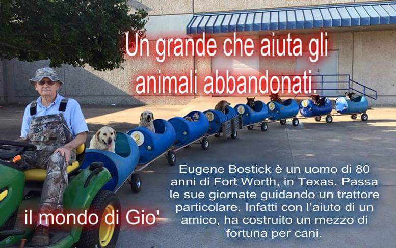 Meravigliosi♥