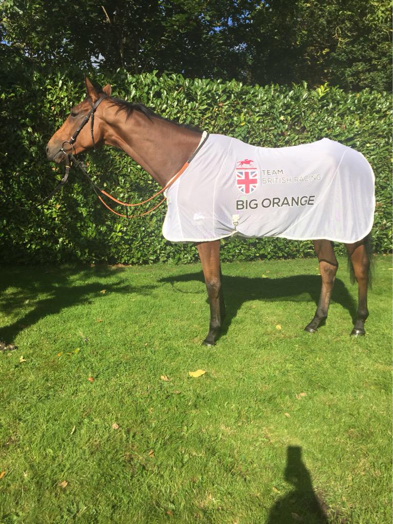 MikeBellRacing's tweet photo. Big 🍊 heads off to quarantine today and flys out on October 8th. Melbourne awaits! http://t.co/uWQmlju8a9