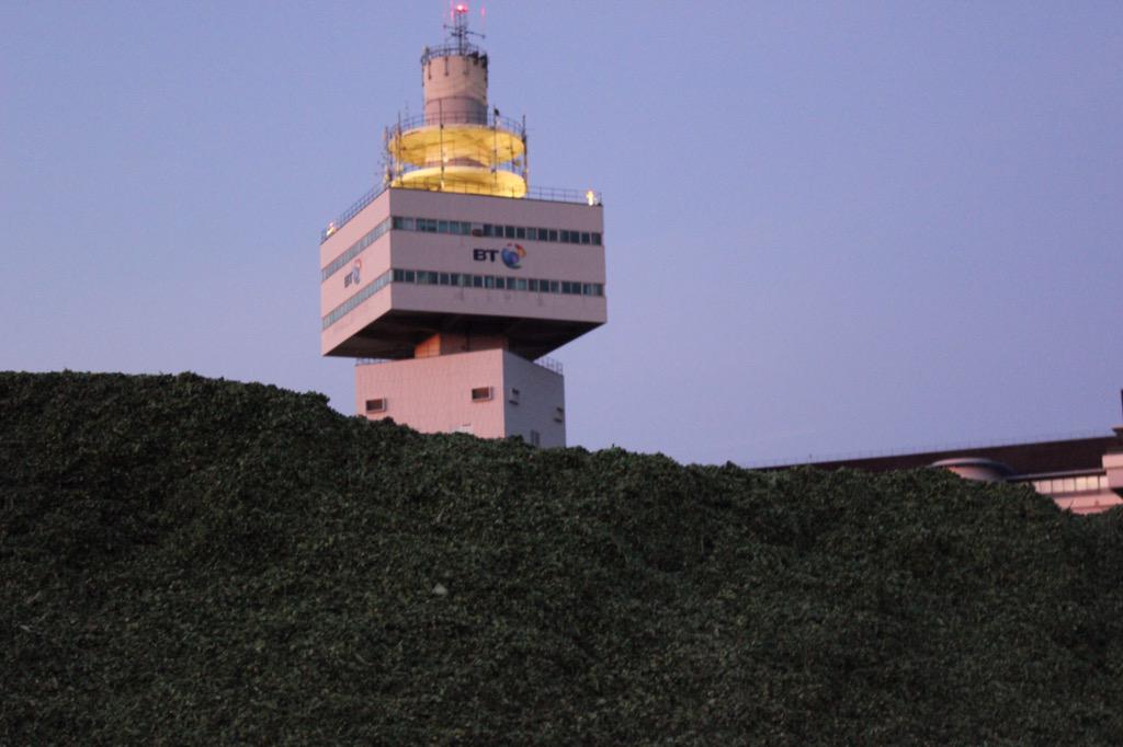 Bruce Kerr tweet media