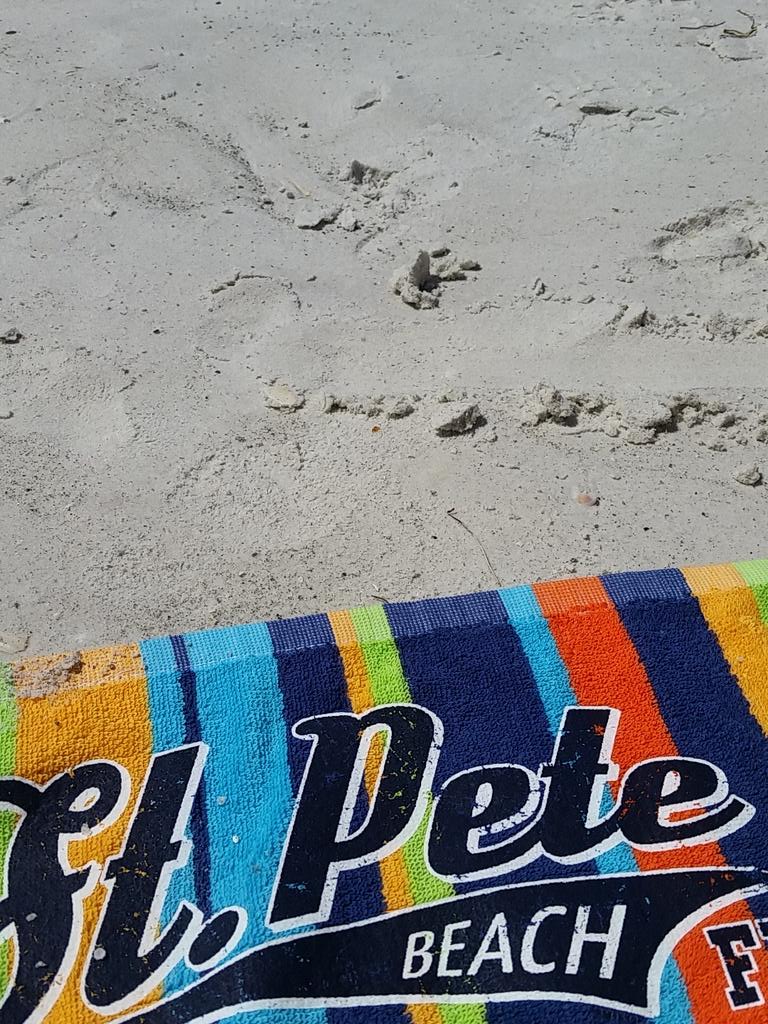 SANDIALLISON's tweet photo. #STPETESBEACH GLORIOSLY WHITE SAND http://t.co/rMR6tUaEhq