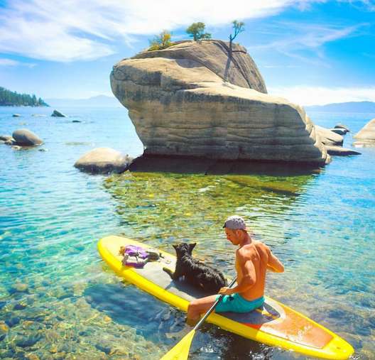 BuzzFeed's tweet image. #CampingWithDogs will give you the cutest case of wanderlust bzfd.it/1Wlid7r