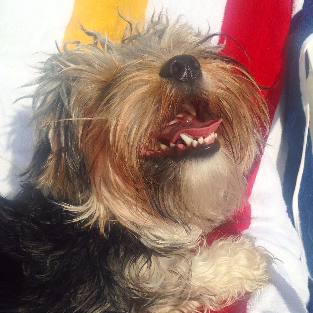 FattieButters's tweet photo. Together stand tenacious, share our joy &amp; be most gracious, for a better day within, let's start the day with a grin! http://t.co/ABhK3IqurC