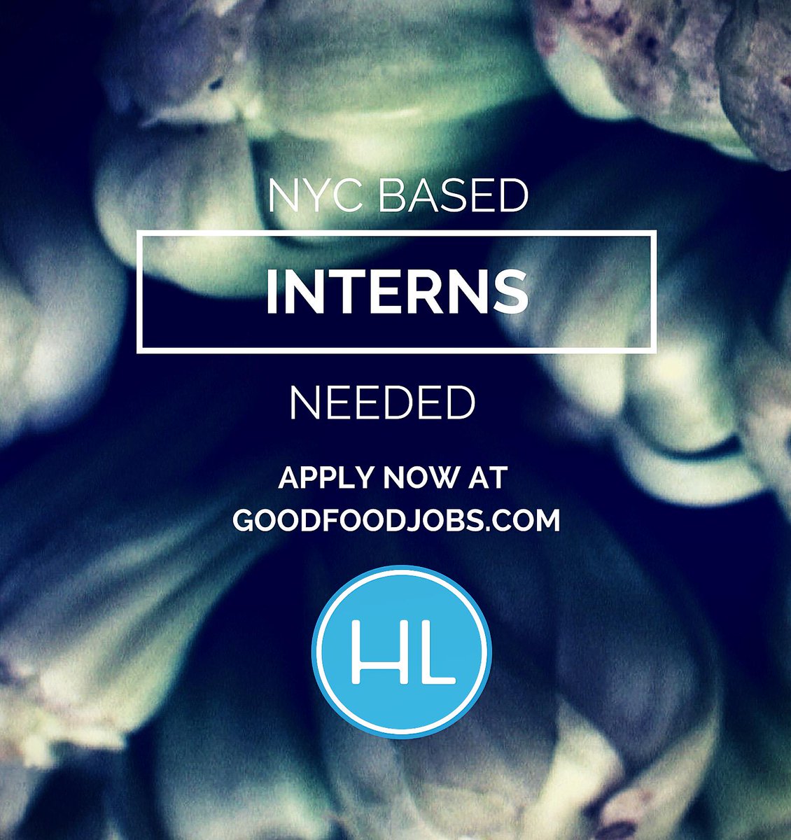 HamptonsLane's tweet photo. We are looking for 3 superstar #interns to help with digital branding &amp; marketing this fall! Apply at @goodfoodjobs http://t.co/SBTLigaTOP