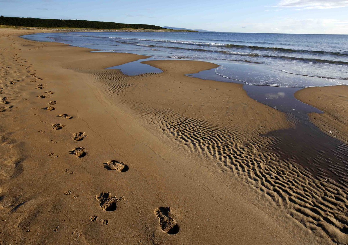 MattHarrisPIXs's tweet photo. One man and his dog @DornochBeach @VisitSutherland beach walk on another sunny day @VisitScotland #dogs http://t.co/jNekHorCEV