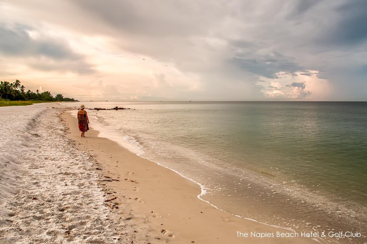 Naples Beach Hotel tweet media
