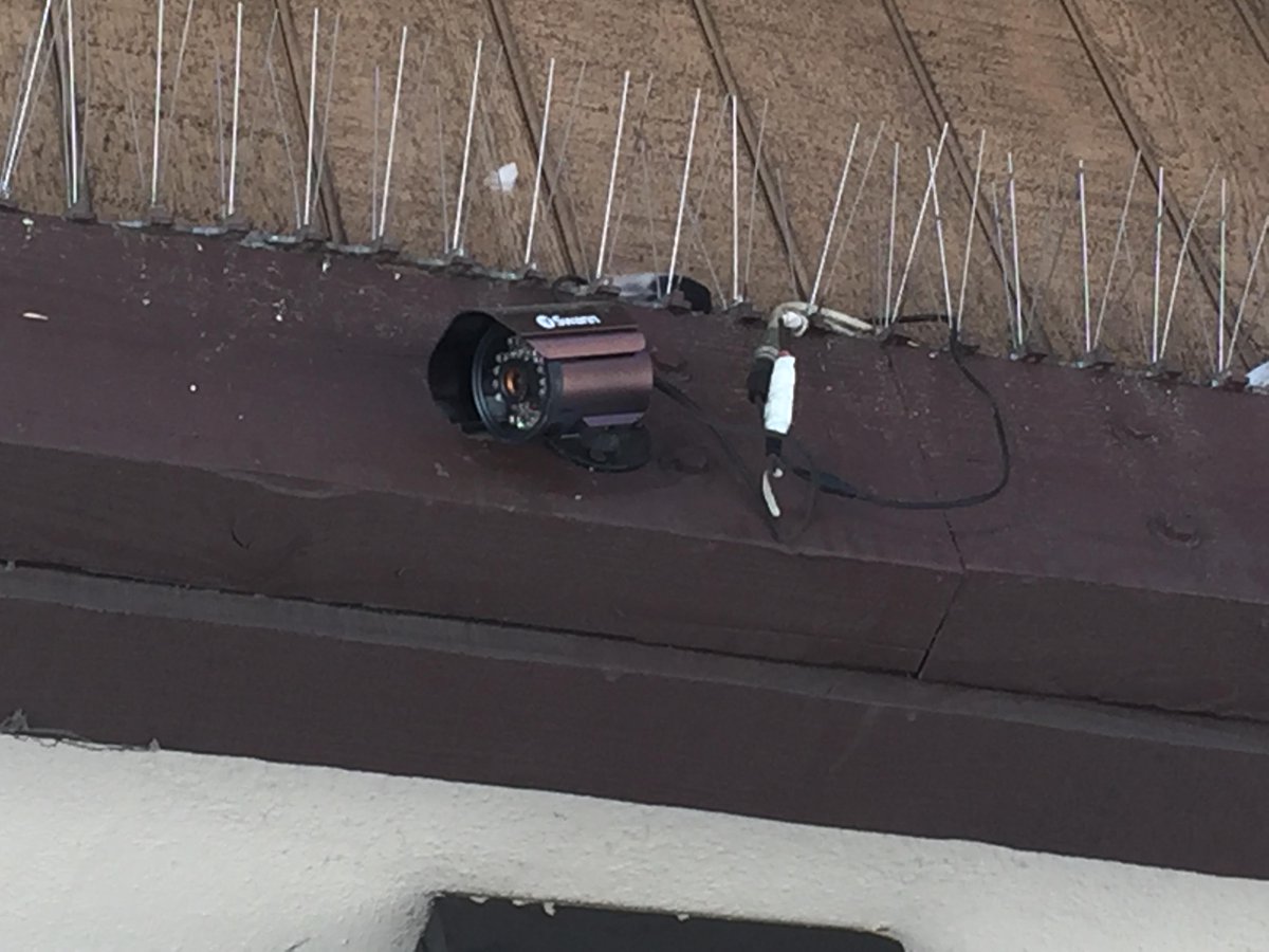 SecurityBud's tweet image. Dont let this happen to you! We only offer professional with pro-grade equipment. #badinstall #camera #nonworking