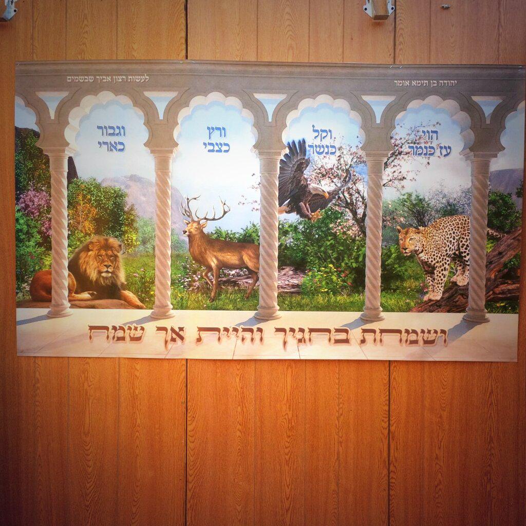 Showroom 4214 12 Ave. 
OPEN TILL MIDNIGHT
 #sukkah #succot #yomtov #chag #zemiros #welcome #ushpizin #yehudabentaima