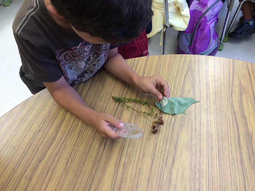 LSGFund's tweet photo. Students of LSG Ed Council member, Deb Glass are "Getting Started" w/ onsite field trip at HPES in LA! #AIIBL #LSGpd http://t.co/h2KNOPD5RM