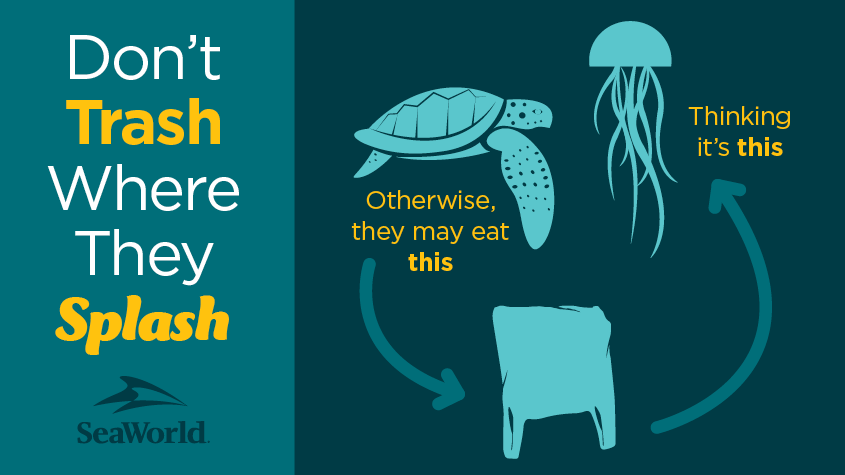 SeaWorld's tweet photo. To a sea turtle, plastic bags look like a quick meal. 

Please recycle and dispose of your plastic bags properly. http://t.co/Na6oRT7gcp