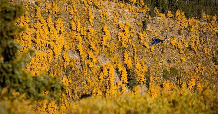 AspenSnowmass's tweet photo. Dropping in! 15 new lift towers in 6 hours @Snowmass this morning. Look at that VIEW. http://t.co/A3E9lNLcV0