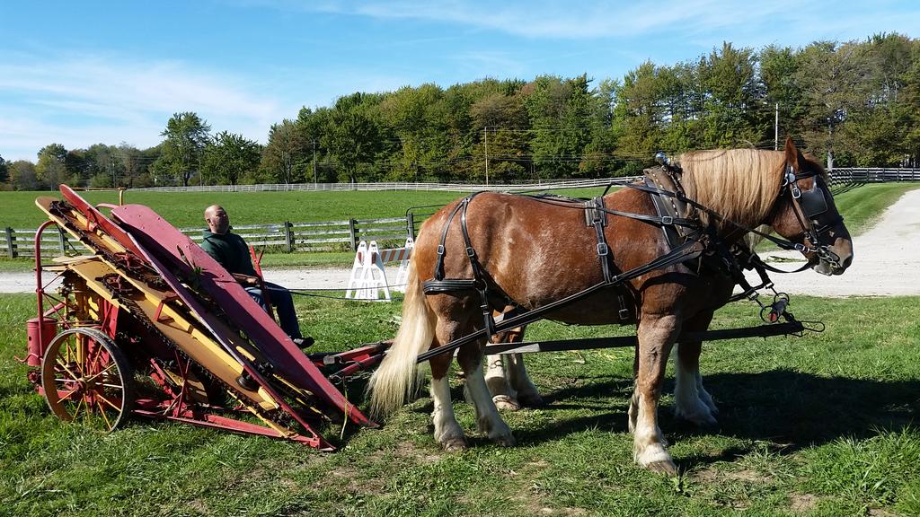 LakeMetroparks's tweet photo. Draft horses pull the corn binder at #Farmpark. See the horses plow the field at #FallHarvestWeekends #thisweekend. http://t.co/JbTni7lr4W