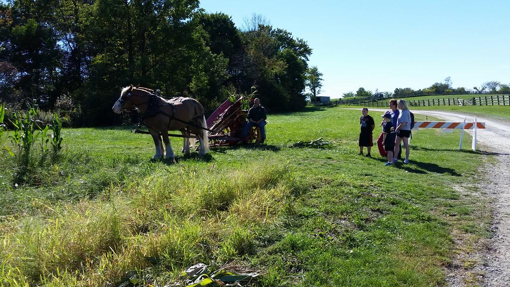 LakeMetroparks's tweet photo. Draft horses pull the corn binder at #Farmpark. See the horses plow the field at #FallHarvestWeekends #thisweekend. http://t.co/JbTni7lr4W