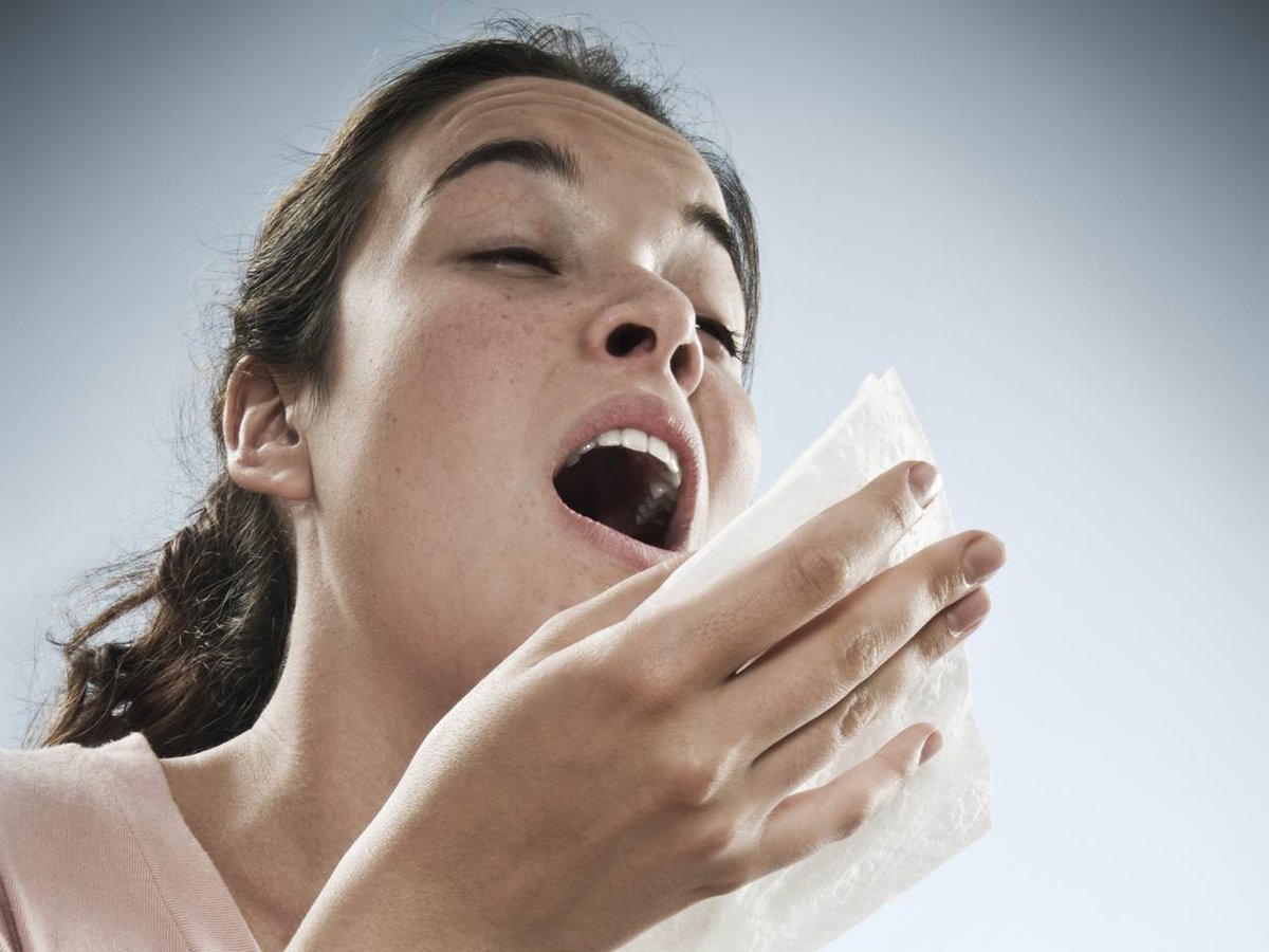 12OnYourSide's tweet photo. Hey #RVAParents! TODAY @ 5, Sarah Bloom breaks down simple ways you can combat SEASONAL allergies in your home! http://t.co/L08R2LSI8X