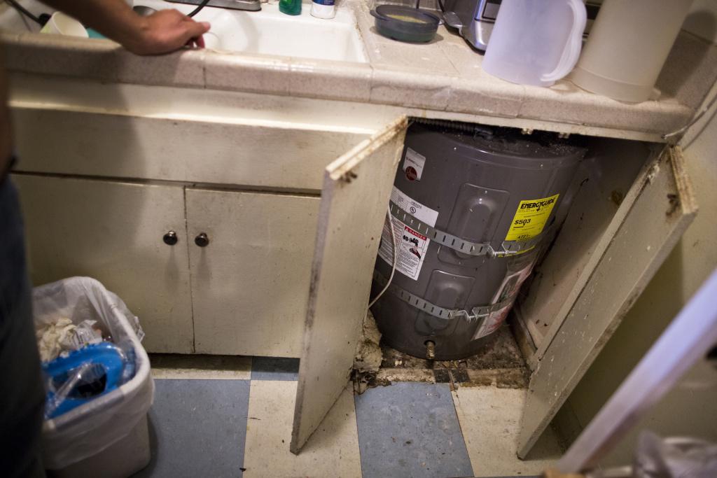 KPCC's tweet image. Harm at Home: What you need to know about mold and cockroaches in the home kp.cc/1WlvWeu #IamSouthLA