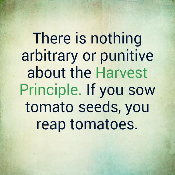 theladdermethod's tweet image. 