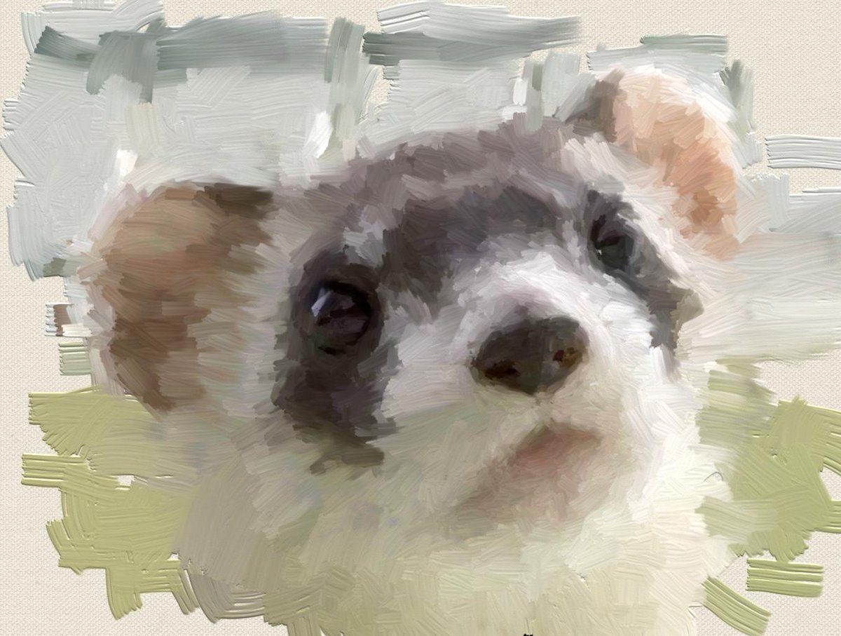 PaintBotApp's tweet image. ferret!