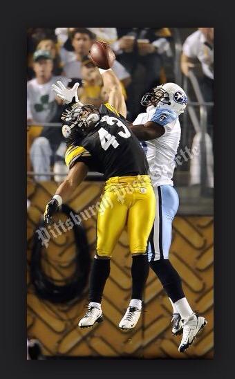 MarkoCooks's tweet image. Brandon Lloyd and Troy Palomalu have been making these routine catches ever since the beginning of the 2000's