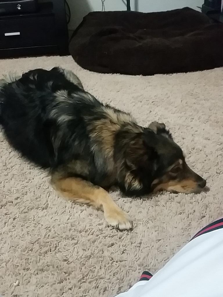 BBates024's tweet image. Trying to stomache my way through Scream Queens, I feel like the whole show is just trying to hard to be cliche #fail