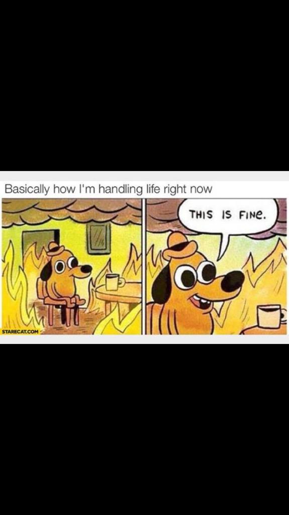 When someone asks me how I feel about the first round of vet school exams starting tomorrow...