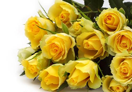 Diane Verniere On Twitter Sweetdreams Goodnight Blessed