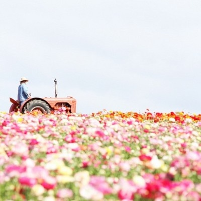 mariangrob's tweet photo. There's something about takin a Plow & #BreakingNewGround #MightAsWellHaveFun while your at it! #EverythingBlooms http://t.co/hfdPPeH81Y