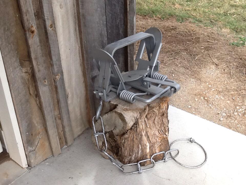 LeanneGithens's tweet photo. Trapping display at the show. What a HUGE trap! #OldIronDays #mesmerized http://t.co/fx4CsRvDCA