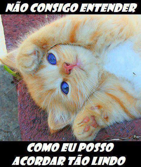 Isabela Campos (@isabelacampos01) on Twitter photo 