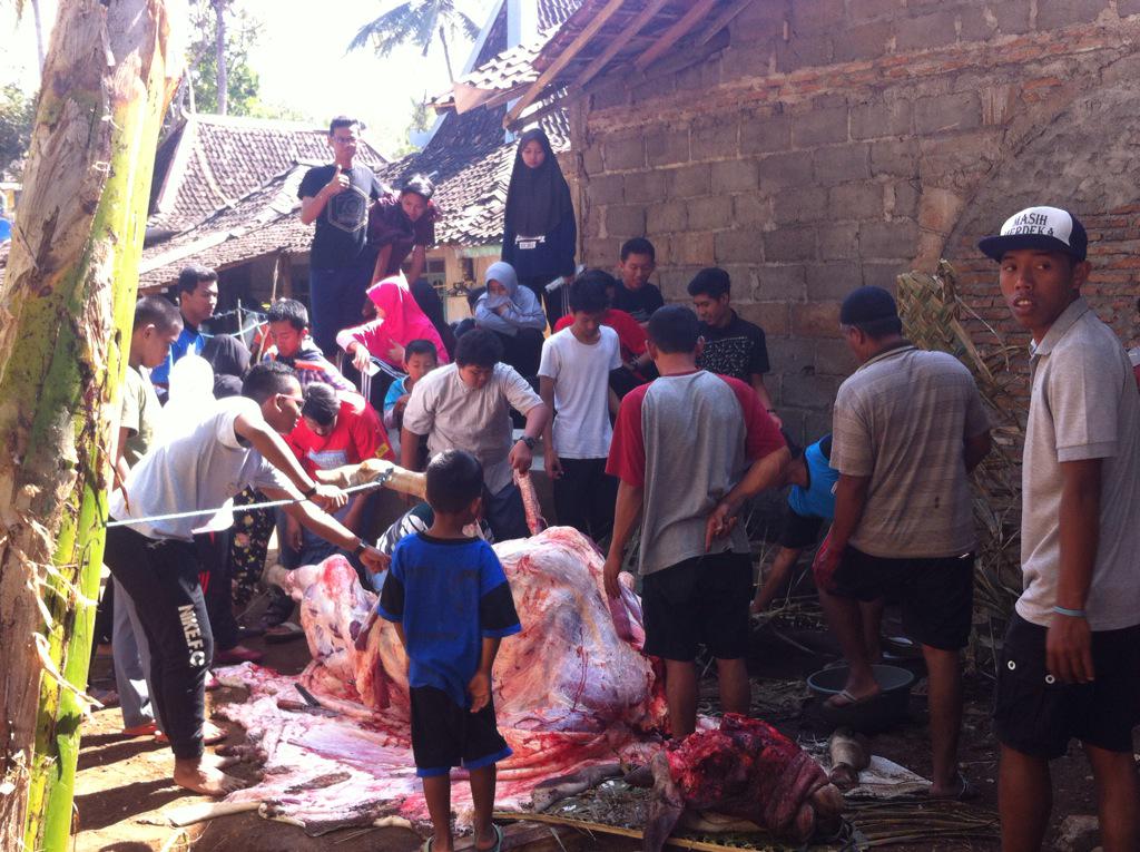 Kegiatan penyembelihan hewan kurban di desa karang, girikarto, kec. Panggang kab GK dalam rangka lustrum muha 13