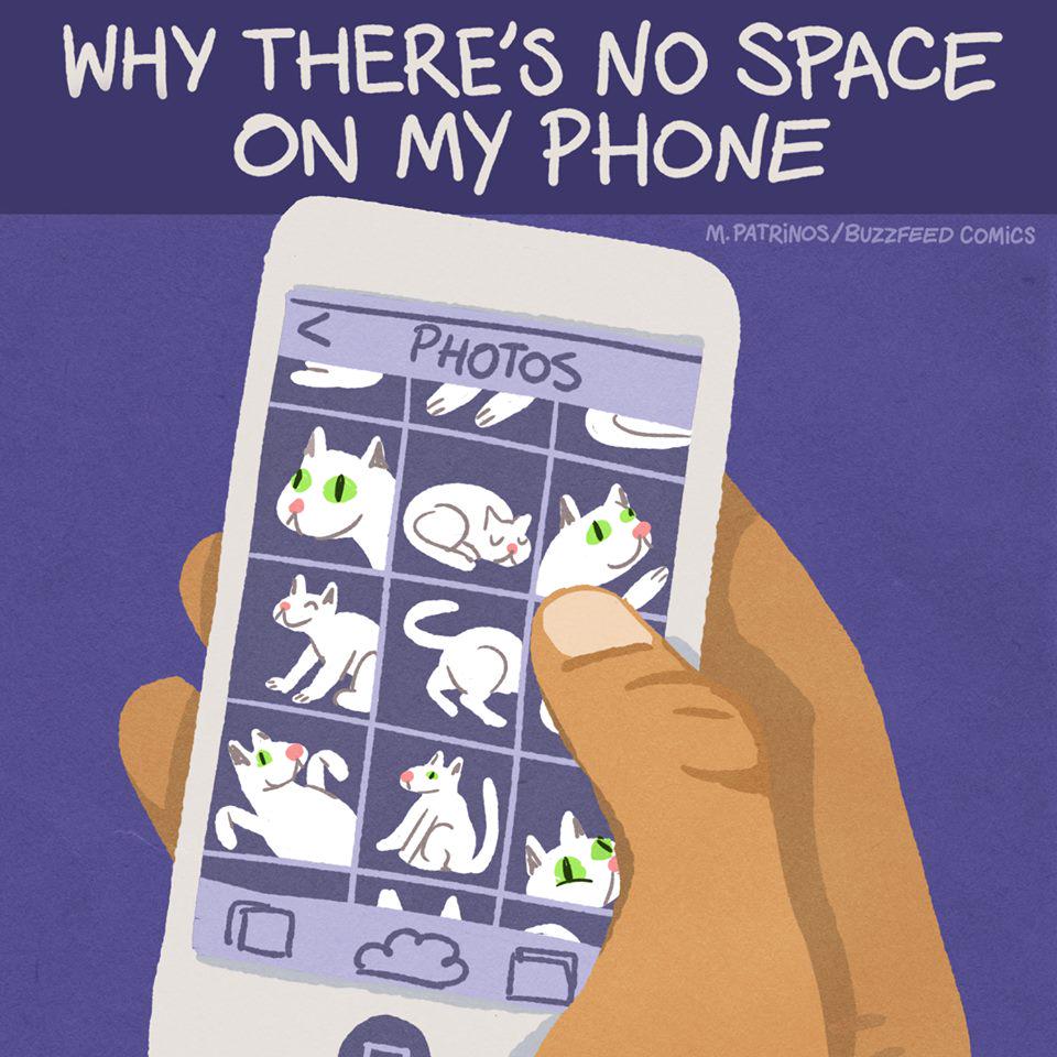 CatFoodBreath's tweet image. Are you guilty of this?